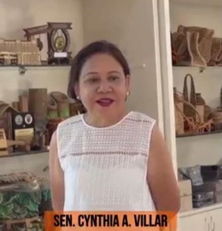 cynthia villar|cynthia villar net worth.
